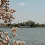 Memorial ao Thomas Jefferson, em Washington D.C., à beira do Tidal Basin