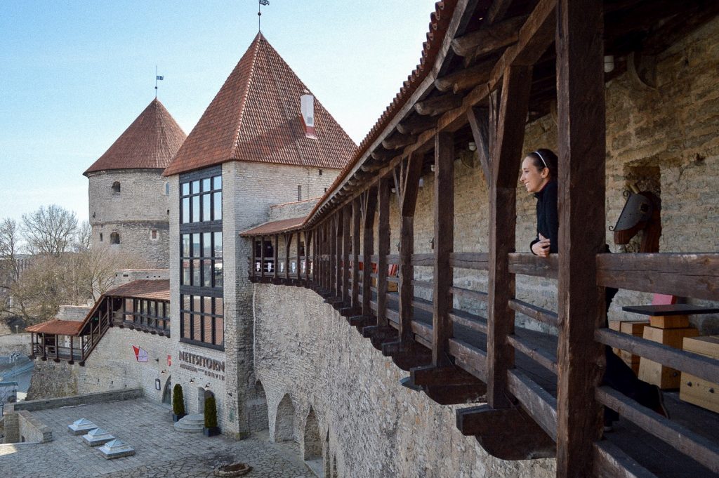 Moinho Vento Museu Livre Estónia Tallin fotos, imagens de