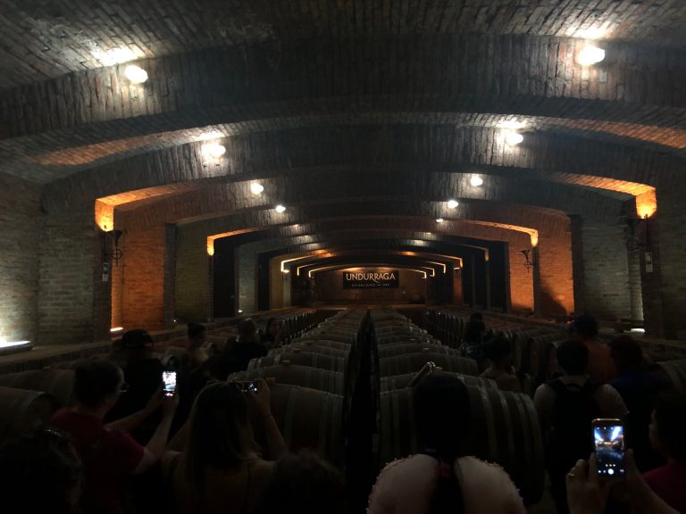 Porão com barris onde vinhos "descansam" por meses