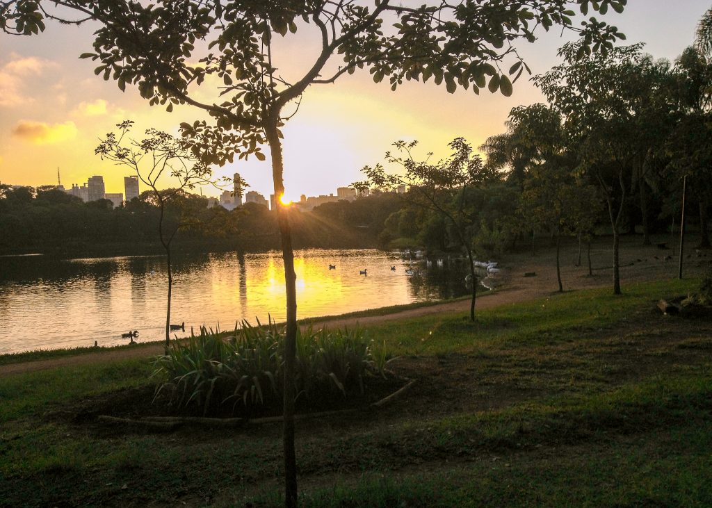 Gramado ao lado do lago no Parque do Ibirapuera, com o sol nascendo por trás de prédios ao fundo