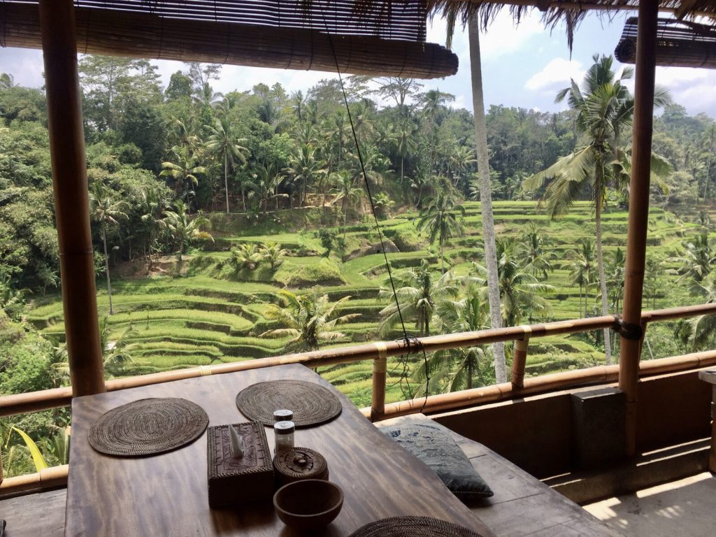 Plantação de arroz em Bali, Indonésia