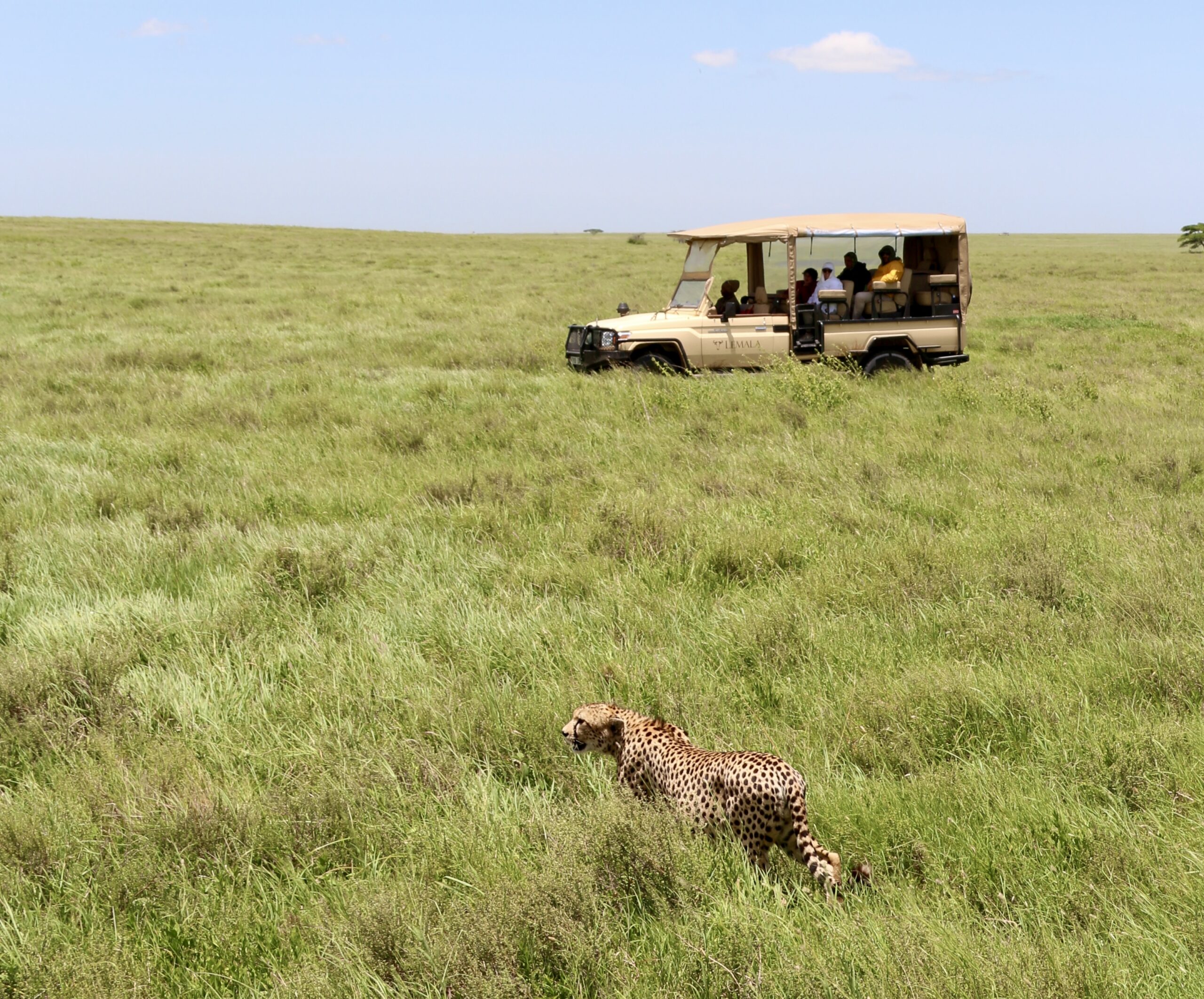 safari tanzania quando ir