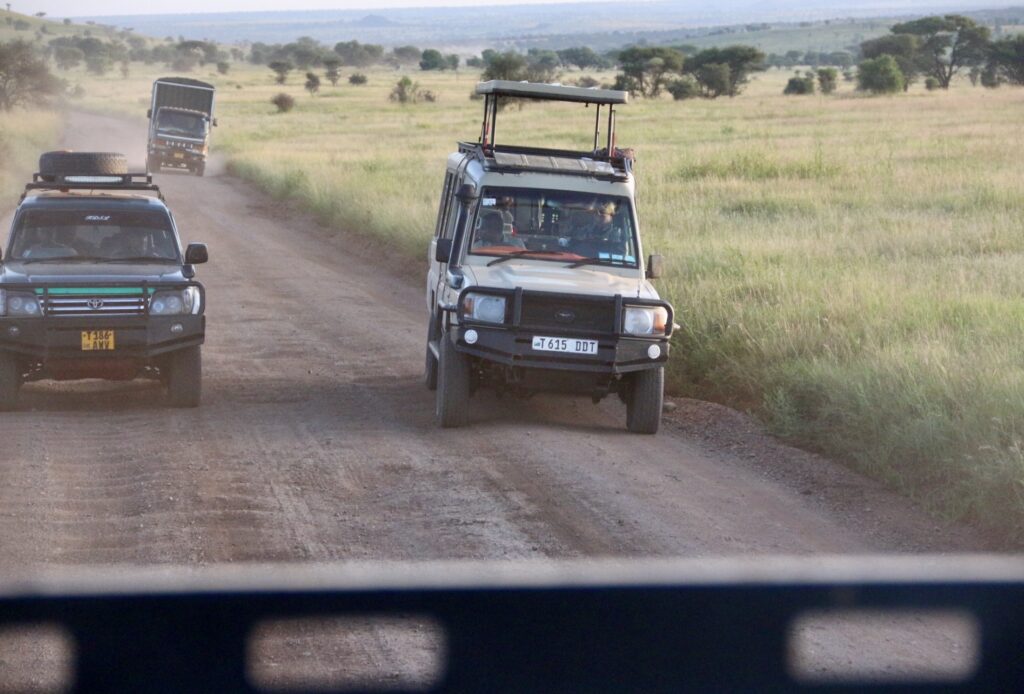 Parque Nacional de Serengeti.
Foto: Viajão®? - todos os direitos reservados.