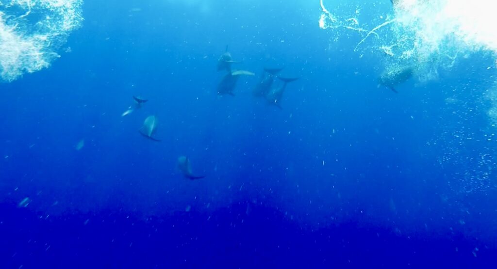 Praia de Nungwi, em Zanzibar.
Foto: Viajão®? - todos os direitos reservados.