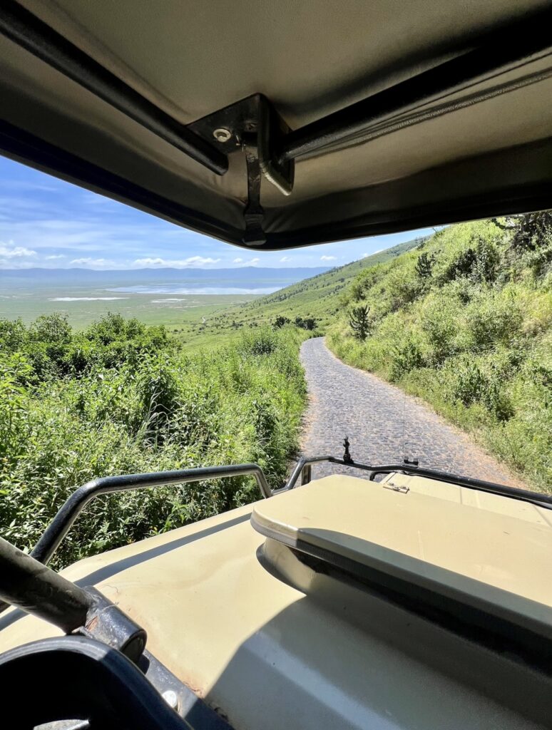 Descendo a Cratera de Ngorongoro, Tanzânia.
Foto: Viajão®? - todos os direitos reservados.